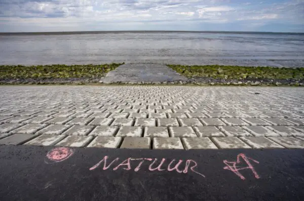 Stikstofplannen LTO en natuurorganisaties sympathiek, maar absoluut niet voldoende