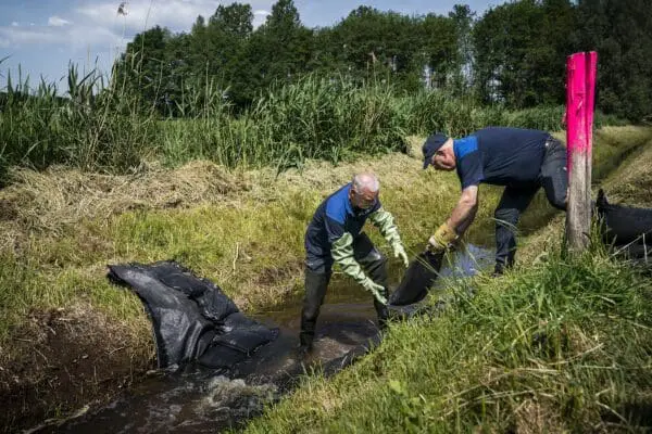 Toch best wel veel af te dingen op wetsvoorstel om geborgden gedeeltelijk af te schaffen