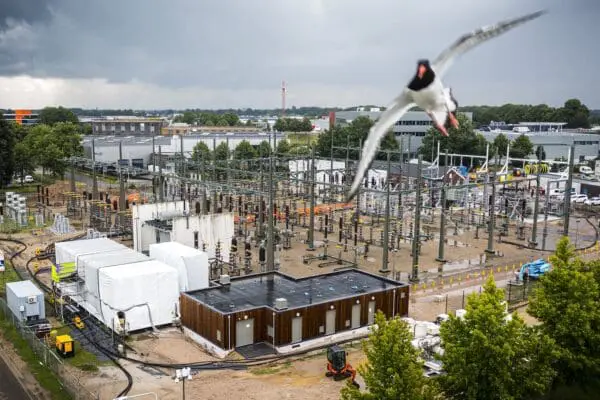 Hoe beperkte capaciteit op het stroomnet verdere verduurzaming in de weg staat