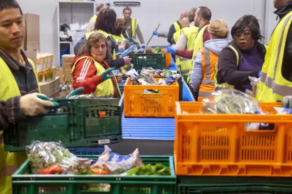 Gratis Prinsjesdagadvies: zo beteugel je de stikstof-, energie- en opvangcrisis wel