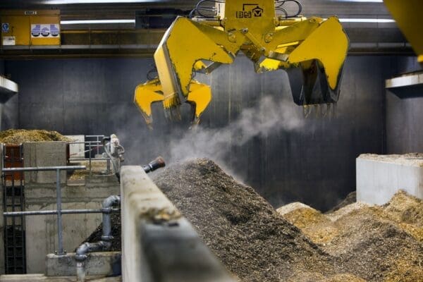 Biomassa: zinvolle tussenoplossing of gewoon niet doen?